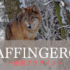 AFFINGER6-plugin