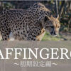 AFFINGER6-setting