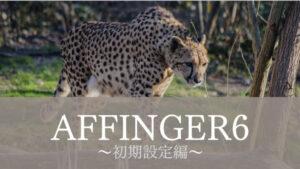 AFFINGER6-setting